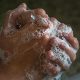 Coronavirus Health and Safety Tips, closeup of hands with lots of suds, handwashing