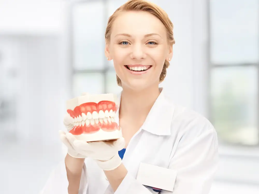 Smiling dentist with teeth model
