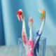 Toothbrushes in a holder
